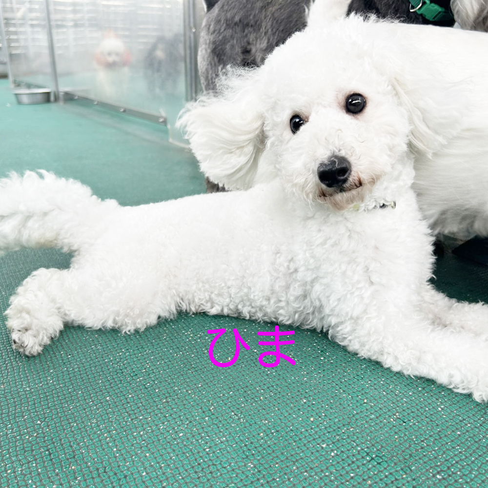 生徒が撮影してくれた写真☆